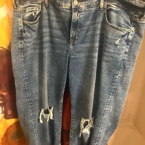 Torrid Perfect Wide Leg Jean